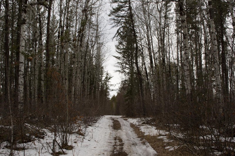 Fort_Black_Trail_7d385fdf27